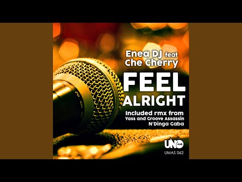Feel Alright (N' Dinga Gaba Remix) (feat. Che Cherry)