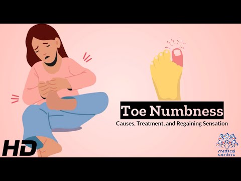 Effects of Cannabis on your body