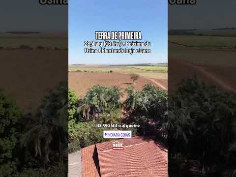 FAZENDA AGRÍCOLA COM 28,4 ALQUEIRES À VENDA EM INDIARA-GO # #fazendaavenda # #agro