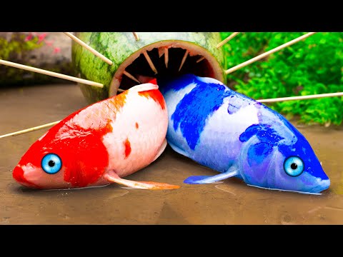 Colorful Koi Fish Hunting Crocodiles And Police Cars - Primitive Fish Video STOP MOTION ASMR COOKING