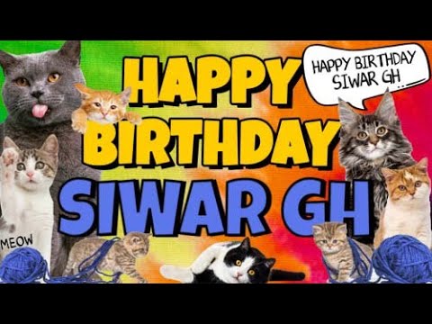 Happy Birthday Siwar Gh! Crazy Cats Say Happy Birthday Siwar Gh (Very Funny)