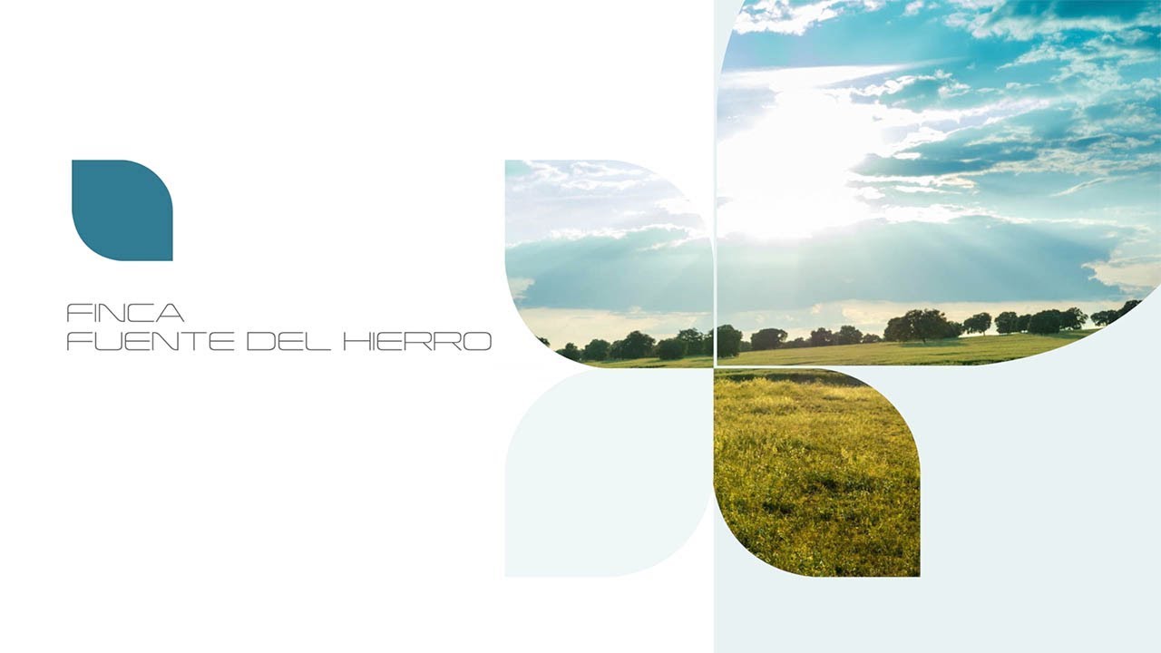 VENTA INMOBILIARIA DE FINCA