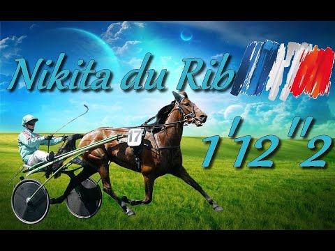 HOMMAGE A NIKITA DU RIB