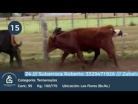 Lote M Y H - Las Flores Bs As