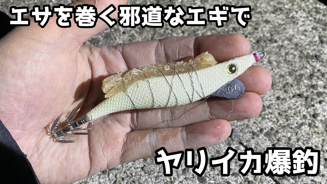 エサを巻く邪道なエギでヤリイカ爆釣