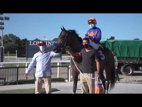 210403 c02 A V Guillemete/ NOCELLO (BRZ)