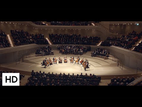Ástor Piazzolla - Fuga y Misterio for 12 Celli - Die 12 Cellisten der Deutschen Stiftung Musikleben