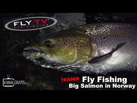 [TEASER] FLY TV - Fly Fishing Big Salmon in Norway