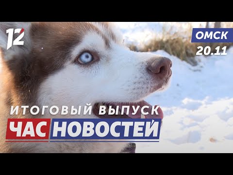 История спасения хаски / Ремонт моста продолжается активно / Сердце матери объединяет. Новости Омска