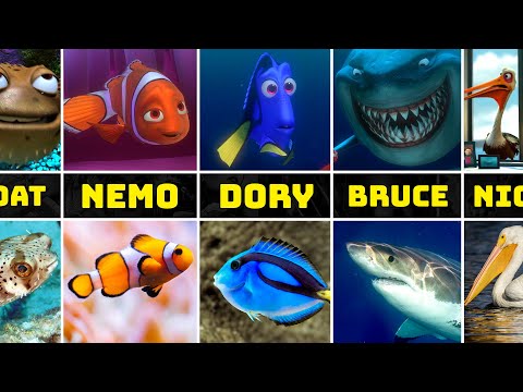 Nemo Characters in Real Life