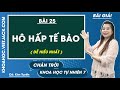 Khoa học tự nhiên Lớp 7 Bài 25: Hô hấp tế bào - Trang 116, 120 - Chân trời sáng tạo