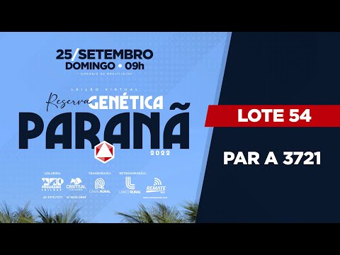 LOTE 54 PAR A3721