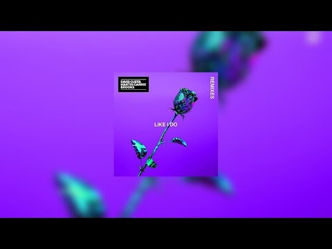 David Guetta, Martin Garrix & Brooks - Like I Do (AYRTON Remix)[Soonvibes Contest]