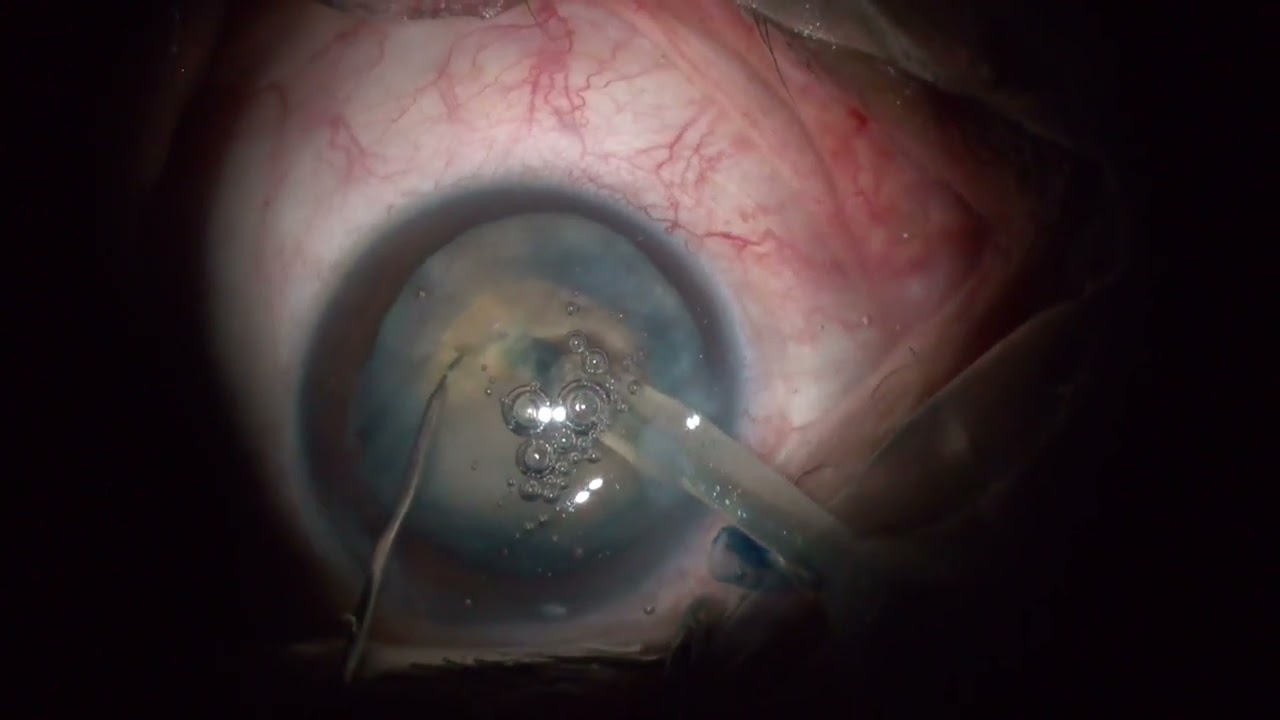 Ivan Alfonso Ornelas Figueroa-4