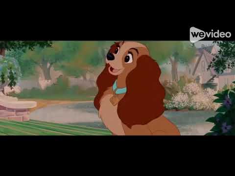 A Bagheera Movie part 2 - After Today