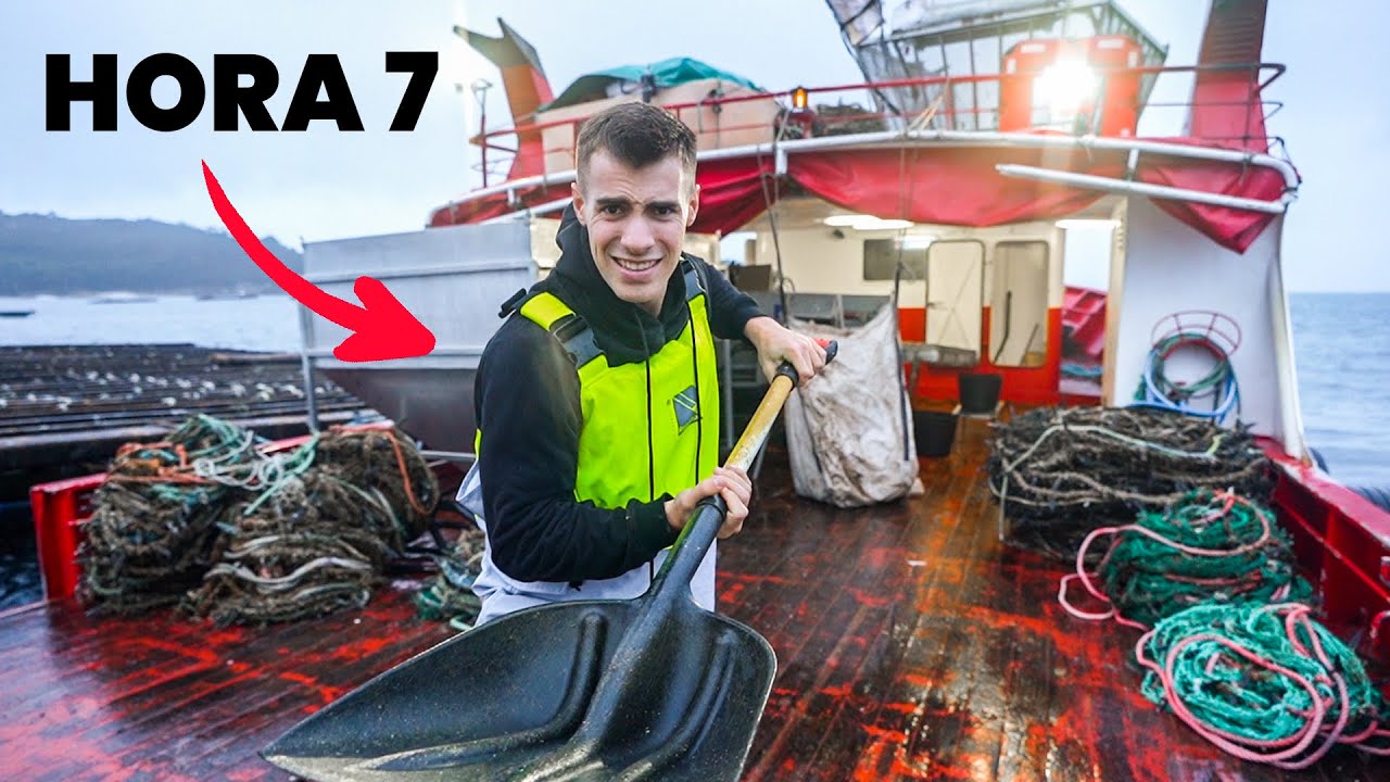 ¿Cuánto gana un pescador profesional de lubina?