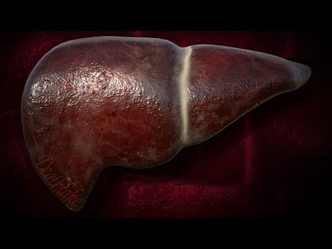 3D Liver pancreas and gallbladder speedpaint speed modelling : substance painter 2019 : Maya Video