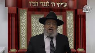 דף היומי בחצי שעה - עירובין דף י"ד