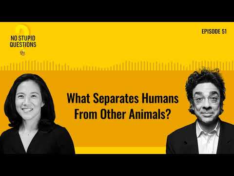 What Separates Humans From Other Animals? | No Stupid Questions | Episode 51