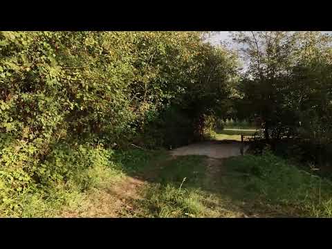 #Devânzare #teren #extravilan în localitatea #Ojdula, județul #Covasna