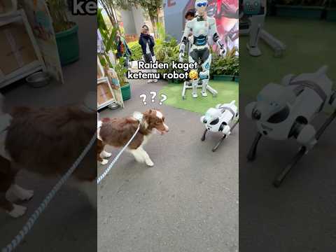 RAIDEN KAGET KETEMU ROBOT‼️🤣 SAMPE LOMPAT😂 #shorts #anjinglucu