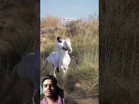 kafila hoga tera shee barka