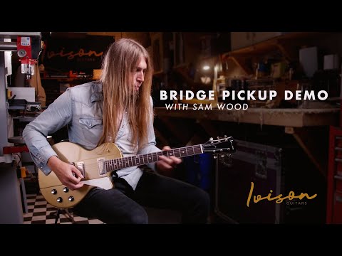 Ivison Bridge Pickups - Quick Comparison with Sam Wood