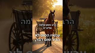 סיפור על עגלה של זהב שירדה מהשמיים הרב נחמן שלמה שליט"א (הרב מאיר שלמה זצ"ל) - התמונה מוצגת ישירות מתוך אתר האינטרנט יוטיוב. זכויות היוצרים בתמונה שייכות ליוצרה. קישור קרדיט למקור התוכן נמצא בתוך דף הסרטון