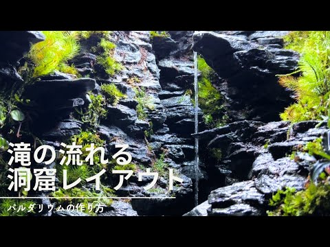 バルコニーのプライバシースクリーン - プライバシーを高めるための植物と竹のスクリーン  庭園