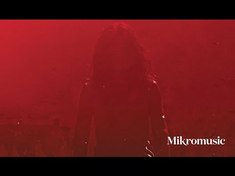 Mikromusic – Kostucha (Audio)