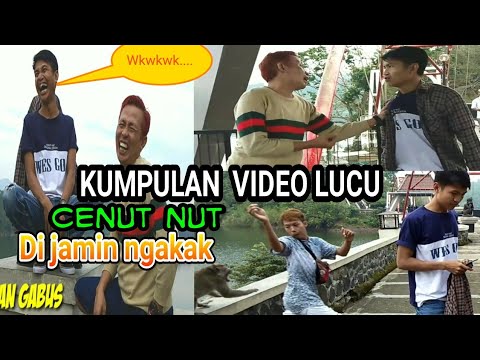 tahan-tawa-kalau-bisa-kumpulan-video-lucu-monyet-yang-usil
