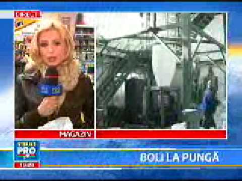 Agent Green: din prima zi, împotriva plasticului toxic