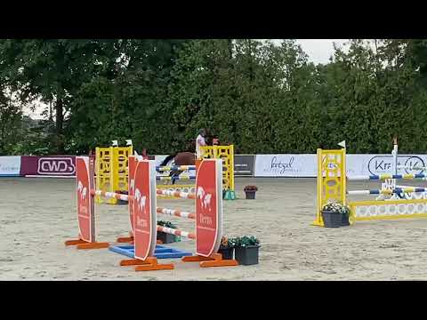 Casallco - Baloubet du Rouet, Wallach, 6Jahre