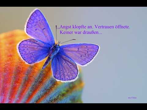 Homöo-Kinesiologie - der energetische Stirnstrich