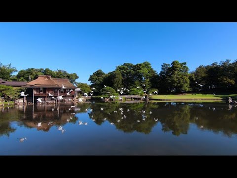 夏、彦根城 - Hikone Castle in Summer