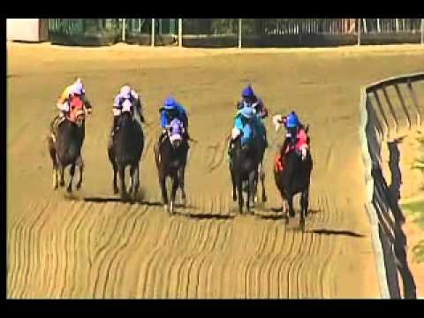 Pimlico 04/26/15 race 6