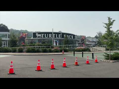 Essex County Zoo Movies