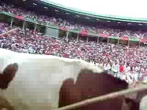 BIG BULL needed to get small bull out Pamplona S. Fermin Run Bulls Encierro 2008 Ricardo Gomez