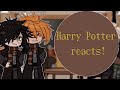 Harry Potter Reacts HP Gacha Angst Happy Ships