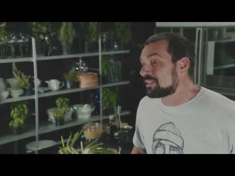 RIBA HRVATSKE by David Skoko – CIPAL