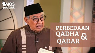 Download lagu Perbedaan Qadha' dan Qadar | M. Quraish Shihab Podcast mp3