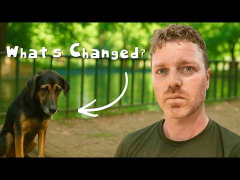 The Problem With Madeira...(an update)