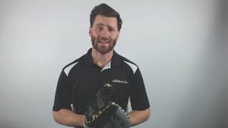 Video thumbnail: Wilson A2000 SuperSkin 12.5" First Base Mitt: WTA20RB191617SS