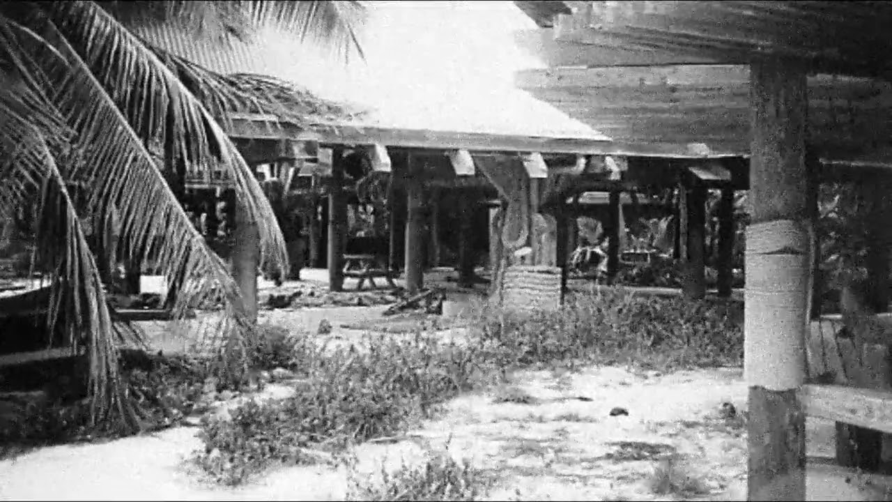 Abandonado Pela Disney