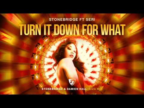 StoneBridge ft Seri - Turn It Down For What (StoneBridge & Damien Hall Ibiza Radio)
