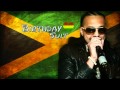 Sean Paul - ''Birthday Suit'' [Audio]