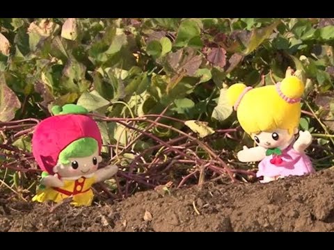 こえだちゃんねる おいもほり編【タカラトミーキッズ】 親子で楽しくあんしん | ファミリー | おはなし | 公式 | タカラトミー公式