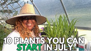 You Can Still Start Plants in July