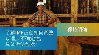 《IMF2025年年报：在一个充满不确定性的时代实现经济增长》
