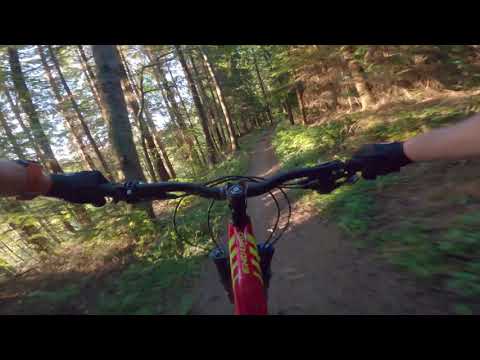 4K MTB Special K - Hamsterley 25/06/20